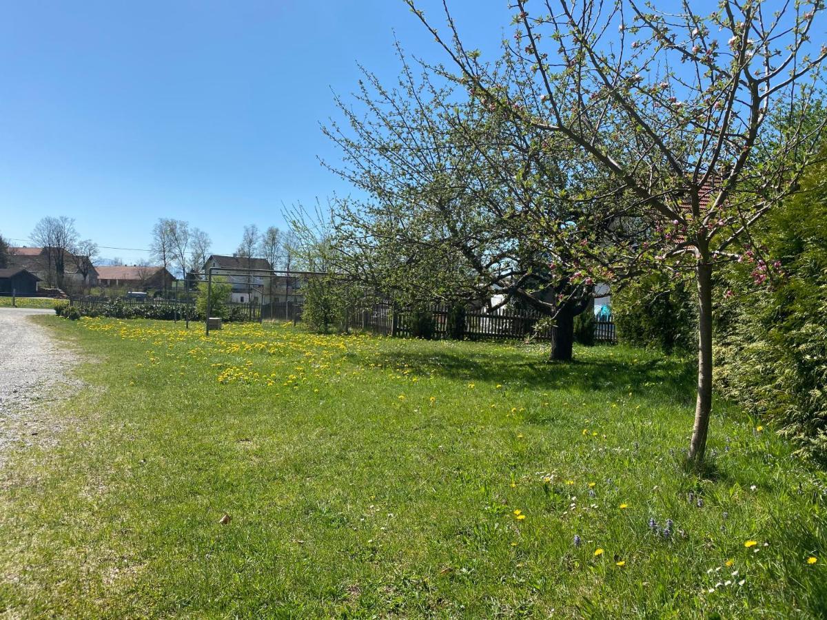 Gasthof Graf Steingaden Kültér fotó